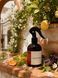 Ароматичний спрей для дому Bazhani "Amalfi Citrus" (свіжий середземноморський цитрусовий аромат), 100 мл 060626-01 фото 5