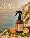 Ароматичний спрей для дому Bazhani "Amalfi Citrus" (свіжий середземноморський цитрусовий аромат), 100 мл 060626-01 фото 2