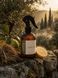 Ароматичний спрей для дому Bazhani "Citrus Vetiver" (чистий зелено-цитрусовий аромат), 275 мл 060626-02 фото 5